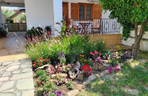 Psakoudia Apartamento | Anna's house 1