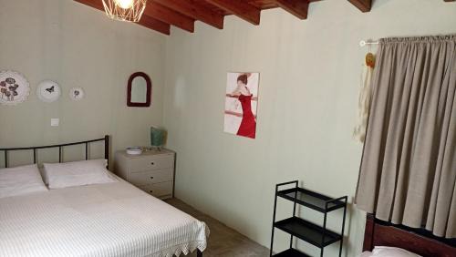 Aristotelis Casa | Anna’s Olive Grove