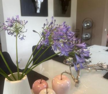 Municipality of Venlo Apartamento | Annahoeve Venlo, Landhaus 220 qm