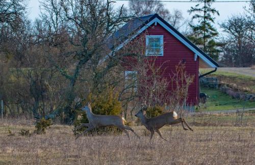Baltic Sea Casa | Anne's Cottage