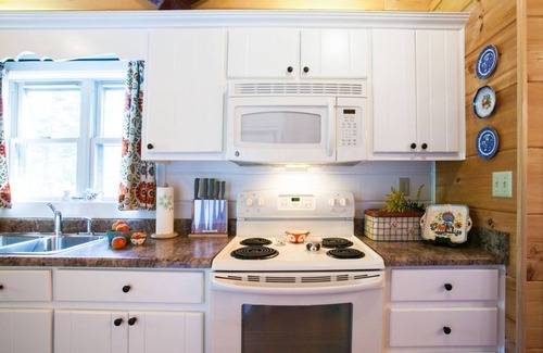 Fairview Cabina | Annie's Cabin | Pet Friendly | Mountain View | Hot Tub | Fire Pit