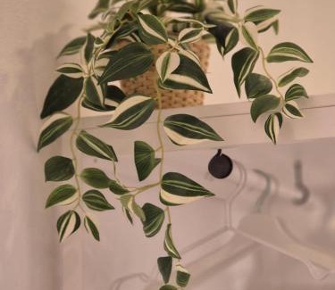 La Spezia Casa | Annita's Rooms