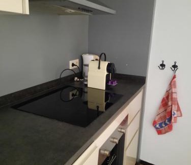Slenaken Apartamento | Anno 1877 appartement met tuin