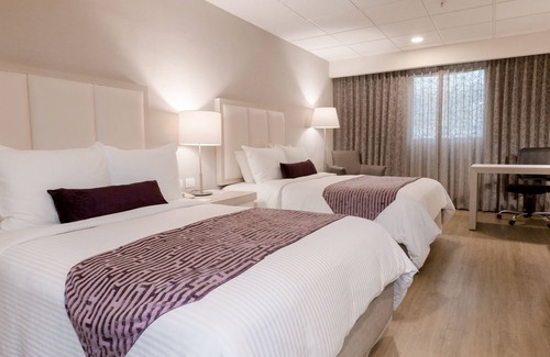 Centro de Monterrey Hotel | Antaris Galerías