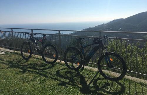 Noli Cama Y Desayuno | AnteMARE