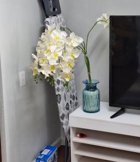 Point Fortin Apartamento | Anthony's Serenity Oasis