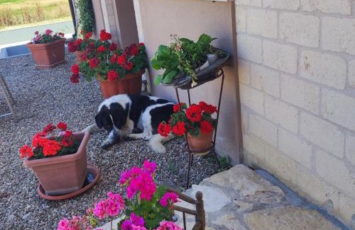 Candela Cama Y Desayuno | Antica Masseria Il Casone