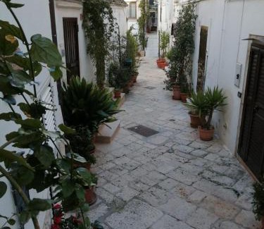 Noci Casa | Antica noci