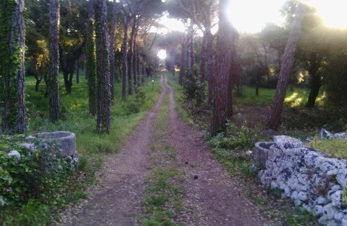 Maglie Casa | Antica riserva dei daini
