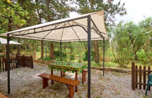 San Vincenzo Casa | Antichi Palmenti - Corbezzolo