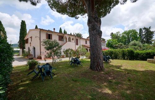 San Vincenzo Casa | Antichi Palmenti - Ginepro