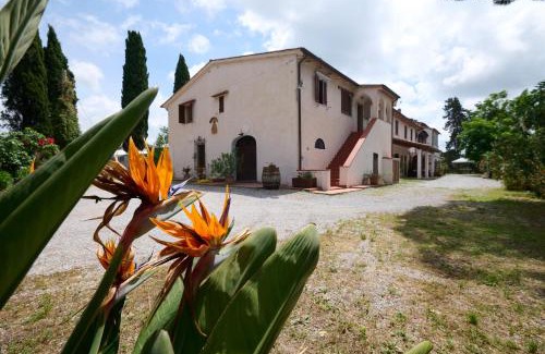 San Vincenzo Casa | Antichi Palmenti - Ginepro