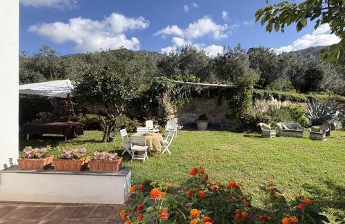 Cava de' Tirreni Casa | Antico Casolare Uliveto