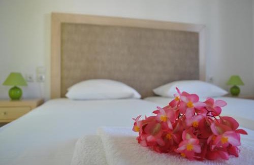 Milatos Beach Apartamento | Antigoni Apartments 'Olive Room'