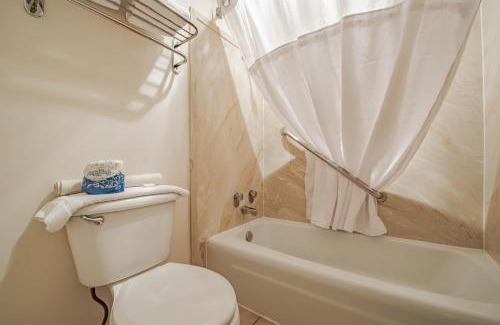 Jackson Hotel | Antler Inn