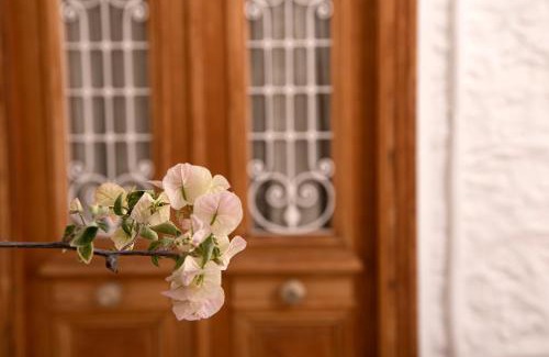 idhra Villa | Antoinette Mansion