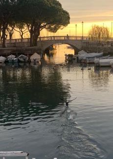 Rivoltella Apartamento | Antonella Gardalake 2