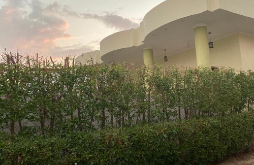 Luxor Apartamento | Anubis Guest house
