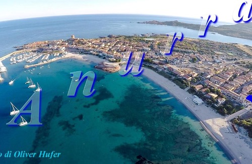 Trinita d'Agultu e Vignola Casa | Anurra1-Domus de Janas