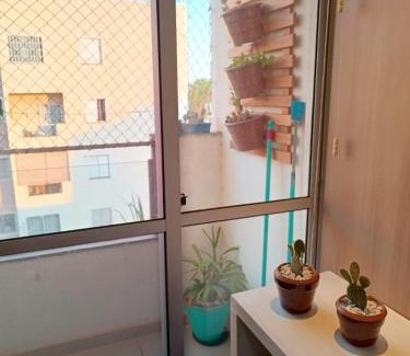 Sao Jose do Rio Preto Apartamento | Apê suíte lago, centro, apê inteiro