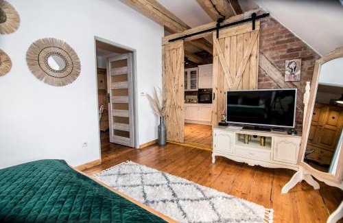 Walbrzych Apartamento | AP Apartment's Widok na Góry
