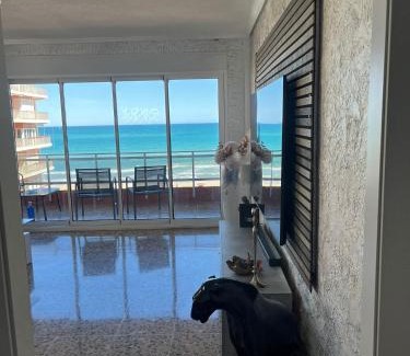 Piles Apartamento | Apartamento Cullera primera linea de playa