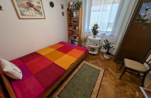 Balatonmariafurdo Apartamento | Apartment in Balatonmariafürdo 19233