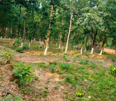 Ranchi Casa | Aparajita Home Stay