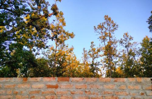 Ranchi Casa | Aparajita Home Stay
