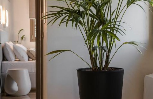 Lixouri Apartamento | APARKTION