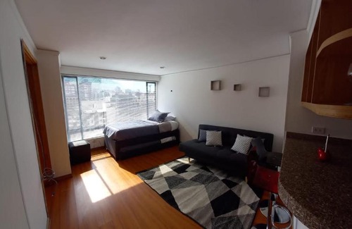 Zona Rosa Apartamento | Aparment Suite Paseos del Lago
