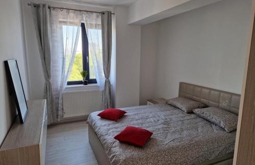 Bacau Apartamento | Apart Confort