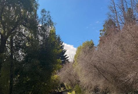 Lanin National Park Apartamento | Apart del Maiten