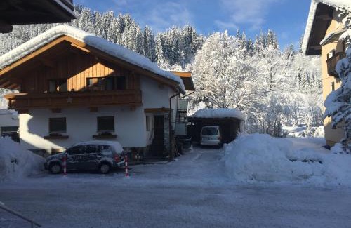 Hopfgarten im Brixental Apartamento | Apart Linde