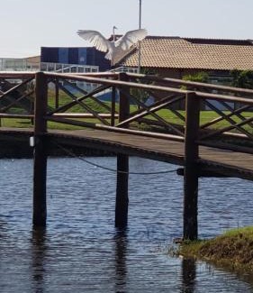 Estancia Apartamento | Apart Resort Vila das Águas Veraneio
