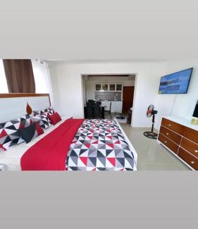 Santo Domingo Apartamento | Aparta estudio altos de alameda