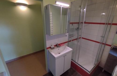 Zła Wies Wielka Apartamento | Apartament Łoś i Ryś