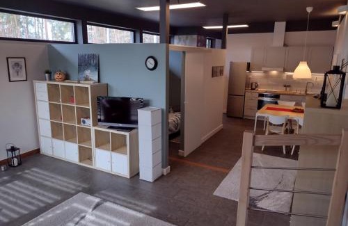 Zła Wies Wielka Apartamento | Apartament Łoś i Ryś