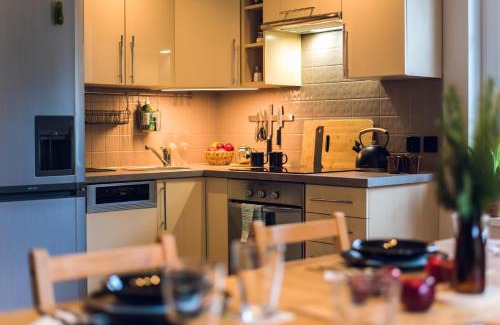 Miedzygorze Apartamento | Apartament Śnieżny Międzygórze