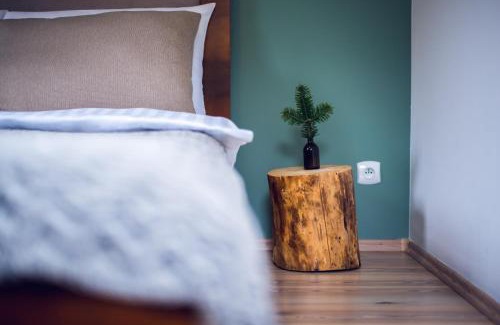 Miedzygorze Apartamento | Apartament Śnieżny Międzygórze