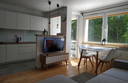 Wzgorze Swietego Maksymiliana Apartamento | Apartament Śródmieście