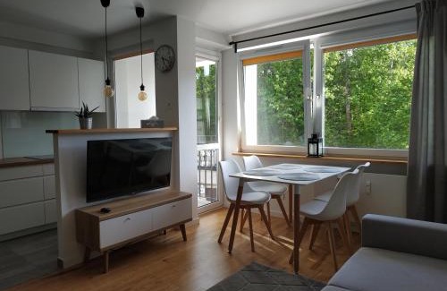 Wzgorze Swietego Maksymiliana Apartamento | Apartament Śródmieście