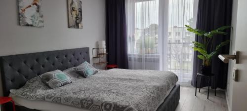 Osiecznica Apartamento | Apartament Świętoszów