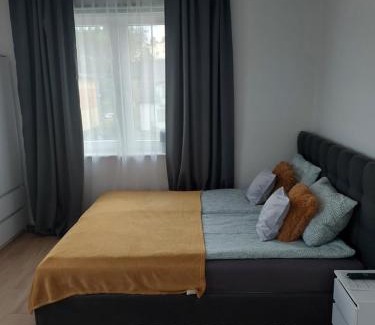 Lidzbark Welski Apartamento | Apartament Świerkowa