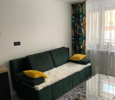 Biala Podlaska Apartamento | Apartament Żeromskiego2