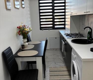 Ramnicu Valcea Apartamento | Apartament ștrand