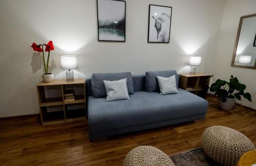 Rybarzowice Apartamento | Apartament 3 Pokoje