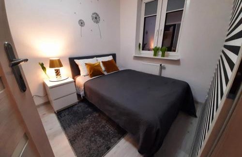 Plock Apartamento | Apartament 60