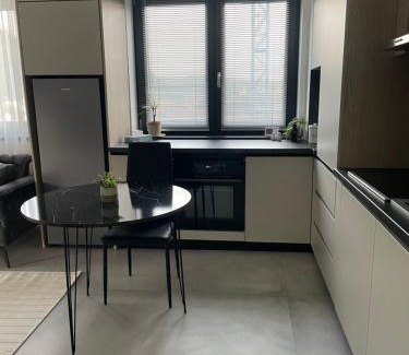 Ramnicu Valcea Apartamento | Apartament A&Maya