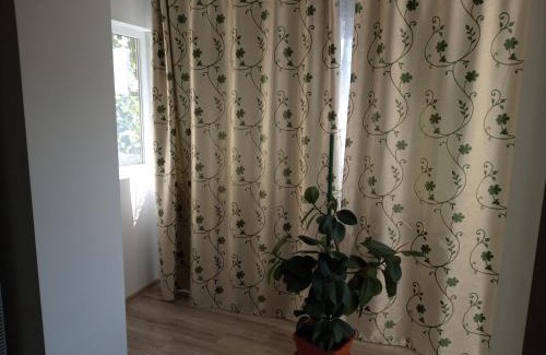 Drobeta-Turnu Severin Apartamento | Apartament Alyn
